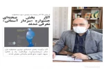 پرواز پرنده های کوچک گم گم به سوی سردار آسمانی  2