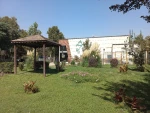 جشنواره تئاتر استانی بدون حامی و زیر ساخت در کش مکش بدون بهره برداری رو به فرسودگی